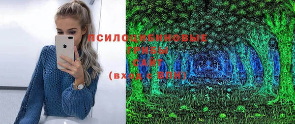 ешки Мегион