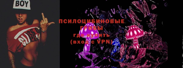 соль курить ск Медвежьегорск