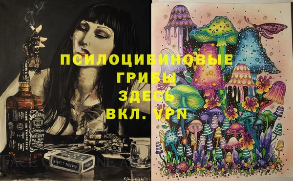 соль курить ск Медвежьегорск