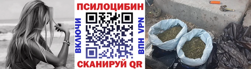 Псилоцибиновые грибы MAGIC MUSHROOMS  наркошоп  Сердобск 