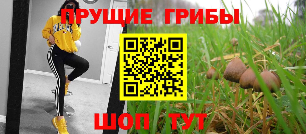 продажа наркотиков  Галлюциногенные грибы мицелий  Вход с VPN  Сердобск 